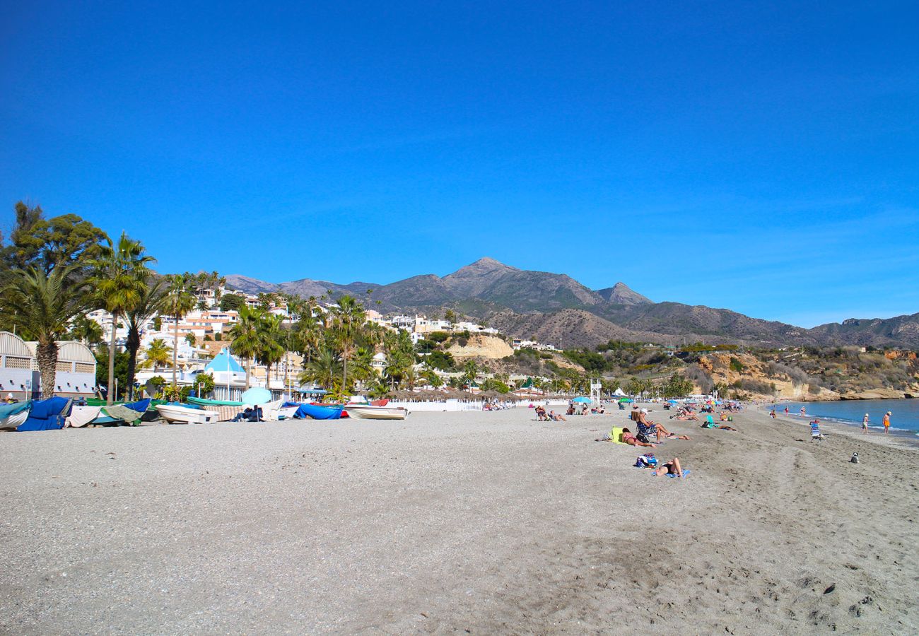 Apartment in Nerja - Lucena 19
