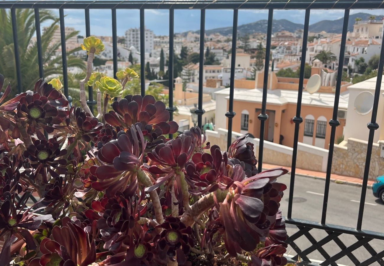 Apartment in Nerja - Lucena 19