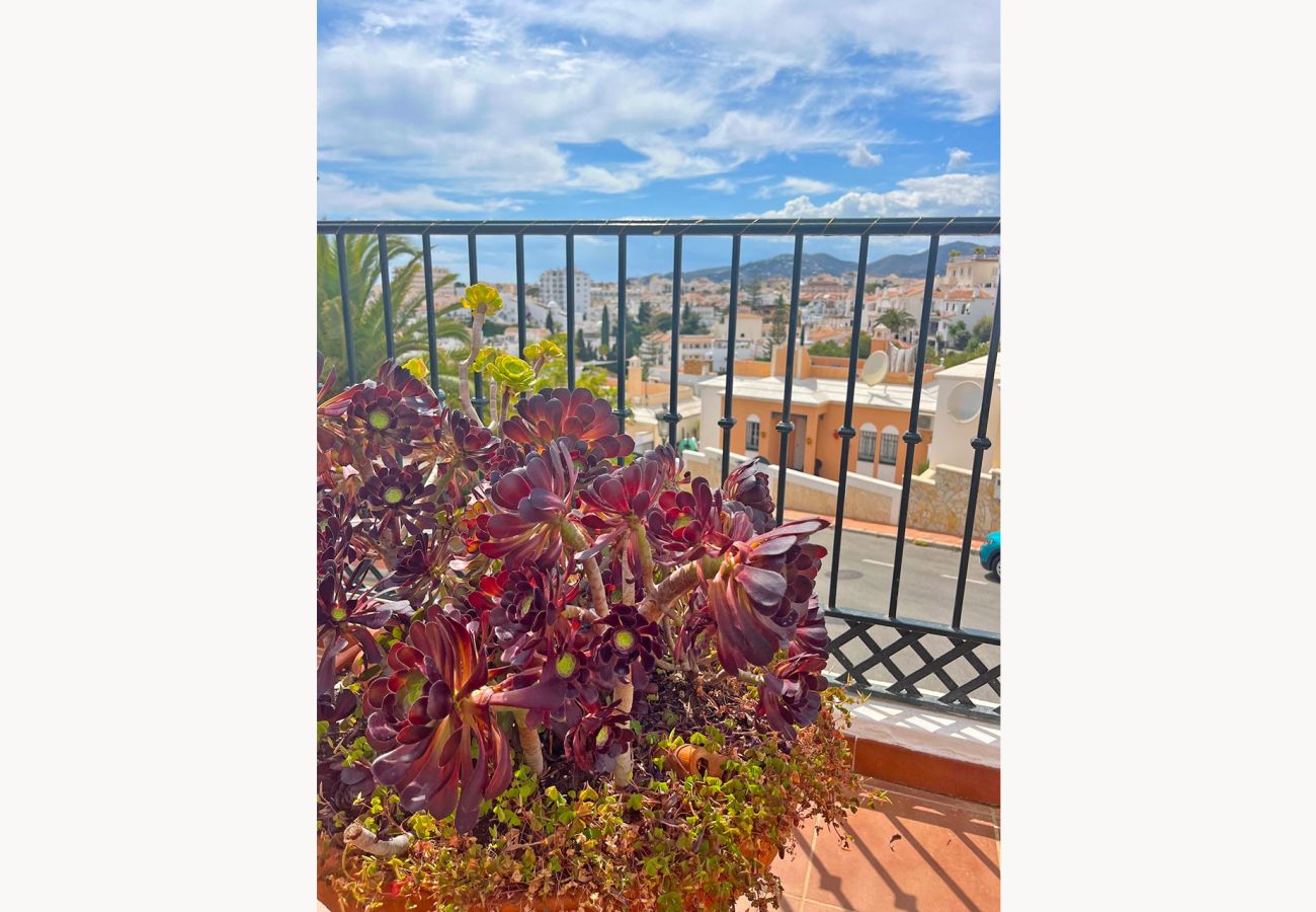 Apartment in Nerja - Lucena 19