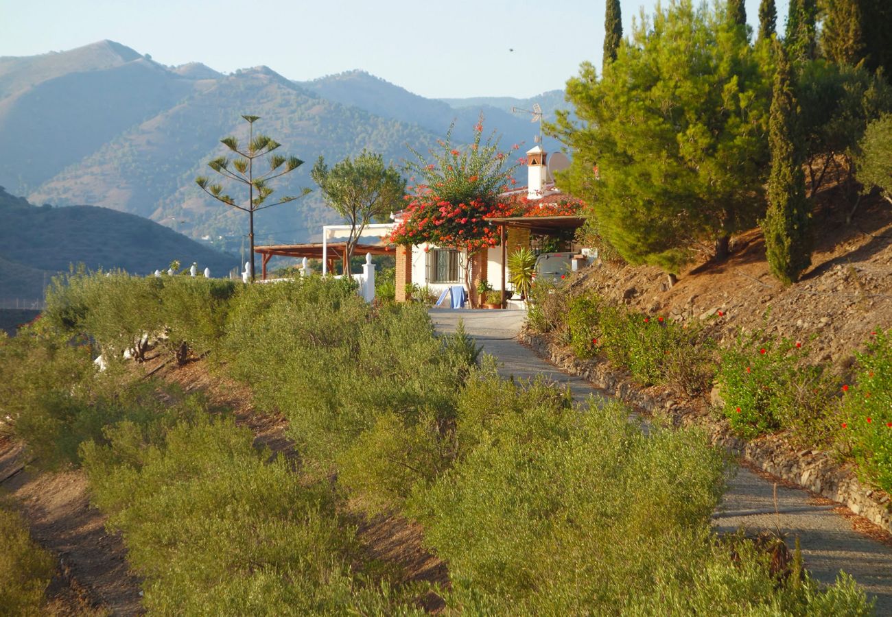 Country house in Torrox - Villa Sinsonte