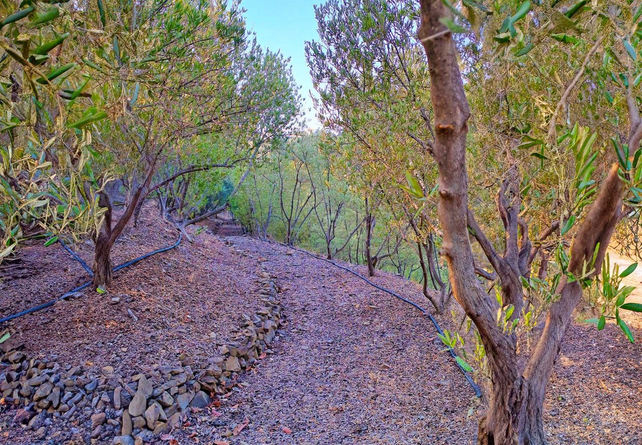 Country house in Torrox - Villa Sinsonte