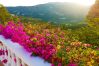 Country house in Torrox - Villa Sinsonte Country house in Torrox - Villa Sinsonte