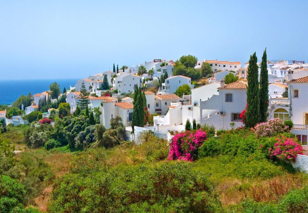 Apartment in Nerja - Capistrano 21