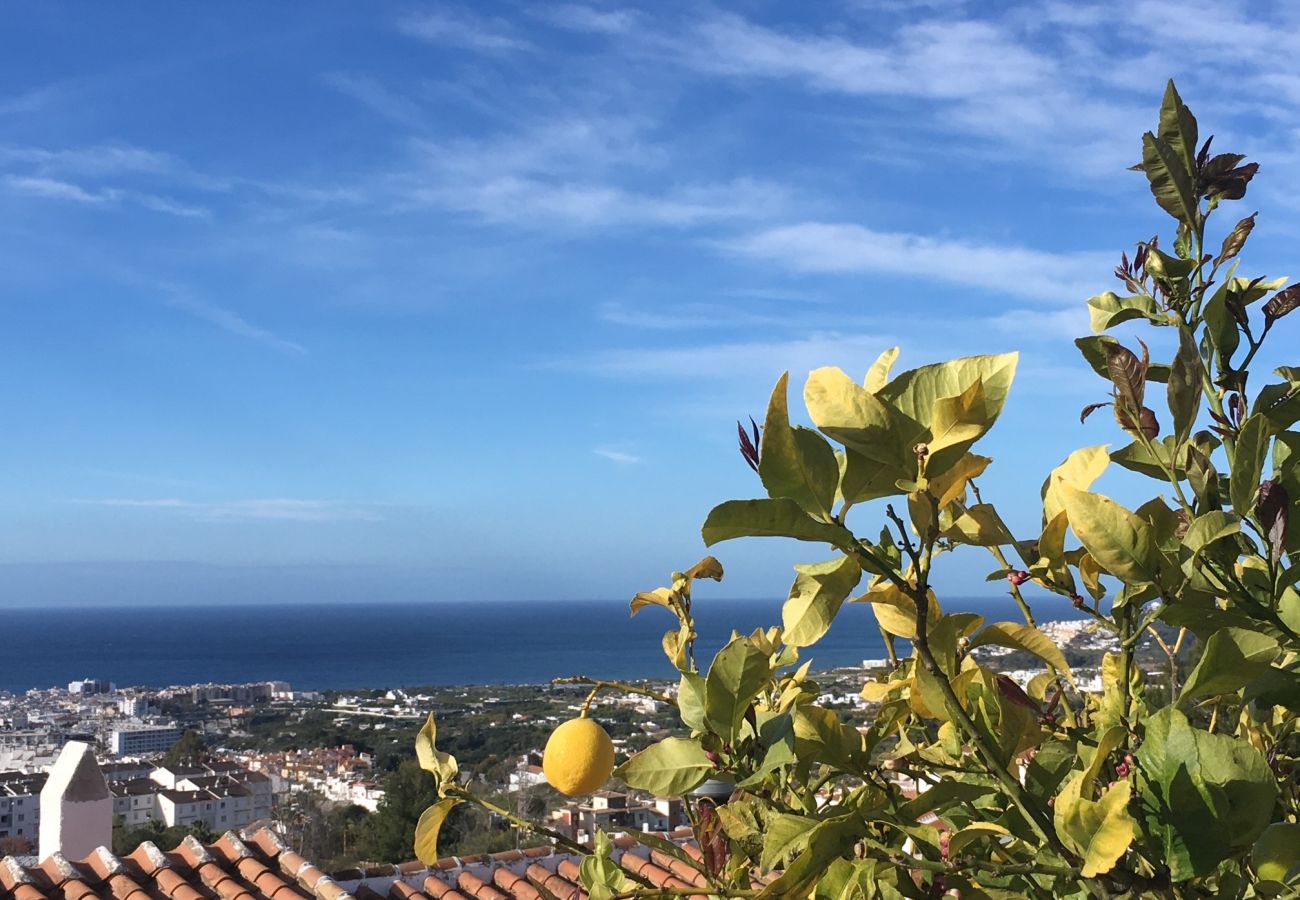 Apartment in Nerja - Hibiscos 50B