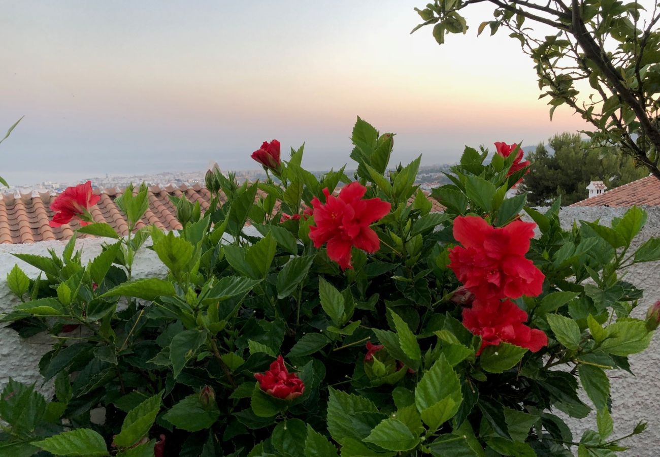 Apartment in Nerja - Hibiscos 50B